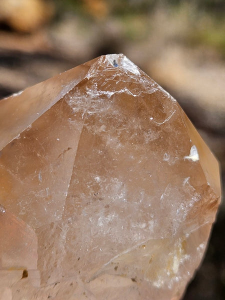 West Australian Quartz crystal . XL119