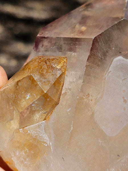 West Australian Quartz crystal . XL119