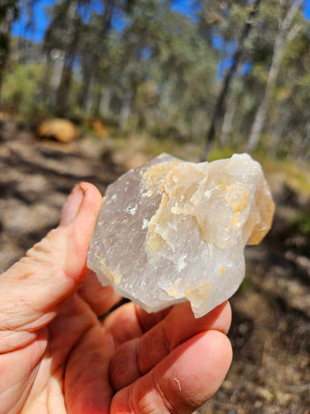 West Australian Quartz crystal . XL119