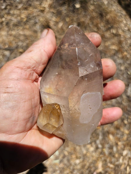 West Australian Quartz crystal . XL119
