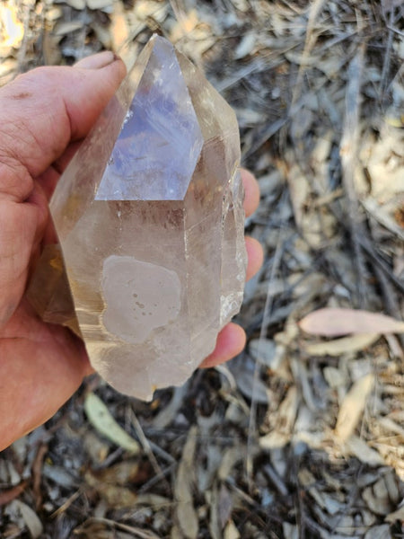 West Australian Quartz crystal . XL119