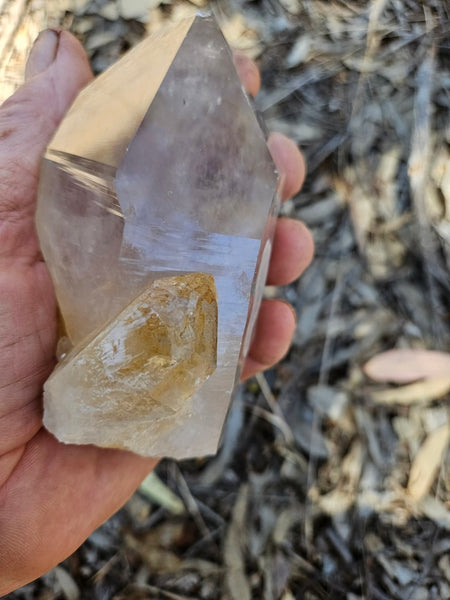 West Australian Quartz crystal . XL119