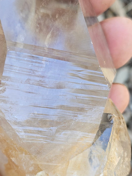 West Australian Quartz crystal . XL119
