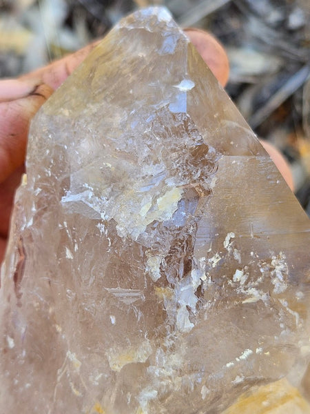 West Australian Quartz crystal . XL119