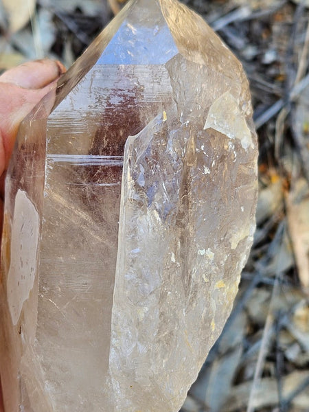 West Australian Quartz crystal . XL119