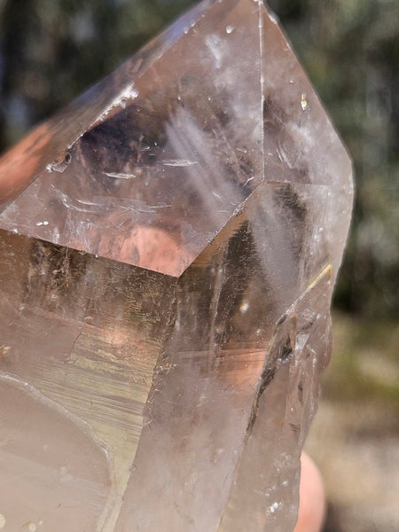 West Australian Quartz crystal . XL119