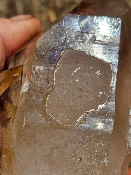 West Australian Quartz crystal . XL119