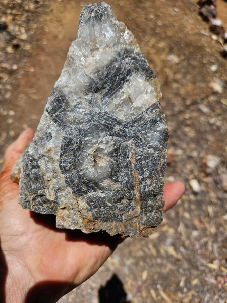 Wyloo Agate rough . WAR113