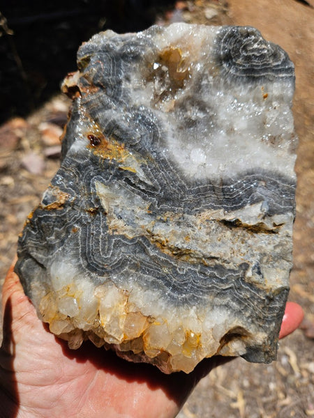 Wyloo Agate rough . WAR113