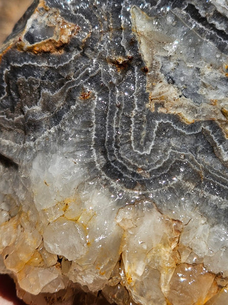 Wyloo Agate rough . WAR113