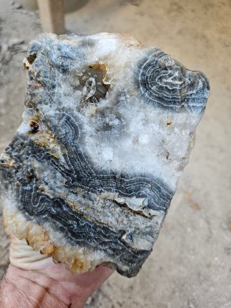 Wyloo Agate rough . WAR113