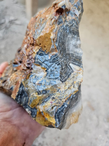 Wyloo Agate rough . WAR113