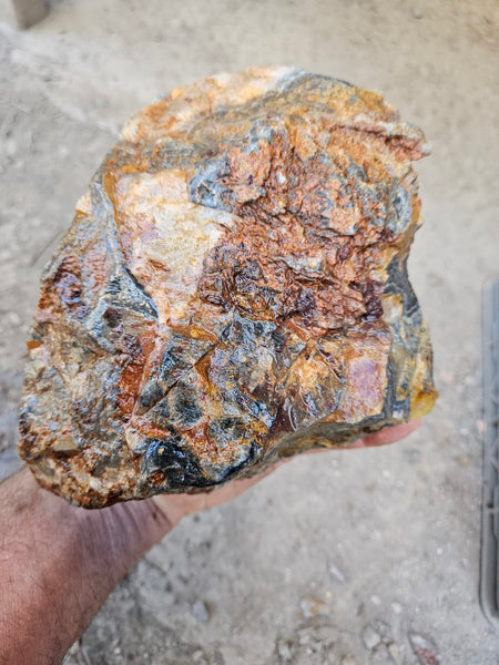 Wyloo Agate rough . WAR113