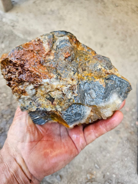 Wyloo Agate rough . WAR113