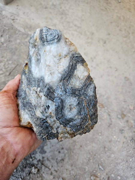 Wyloo Agate rough . WAR113