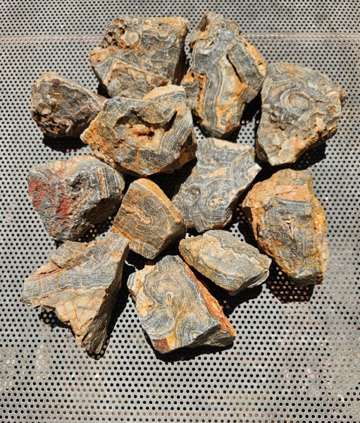 Wyloo Agate rough . WAR116