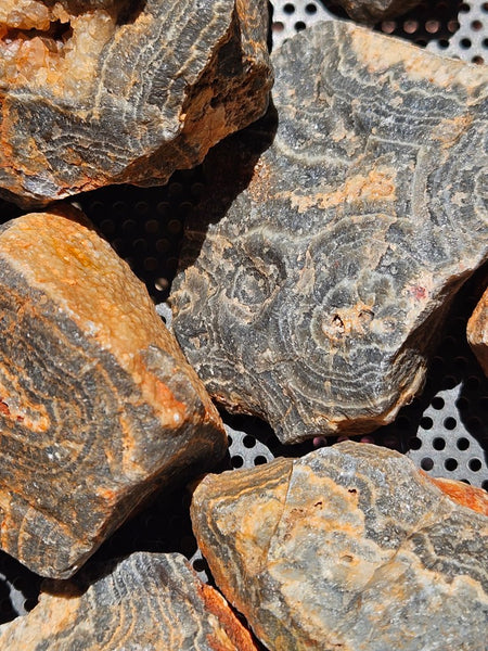 Wyloo Agate rough . WAR116