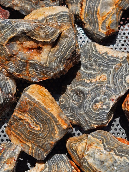 Wyloo Agate rough . WAR116