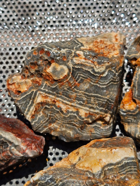 Wyloo Agate rough . WAR116