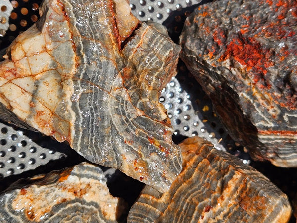 Wyloo Agate rough . WAR116