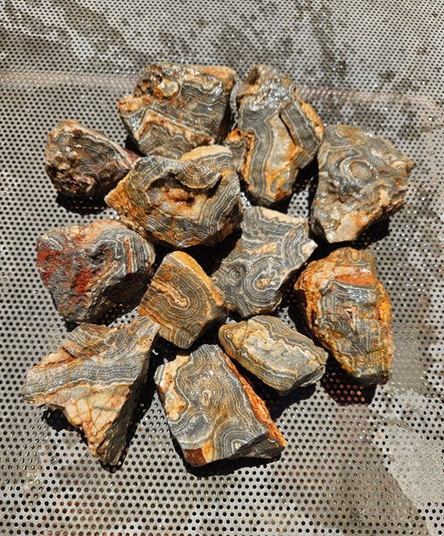 Wyloo Agate rough . WAR116