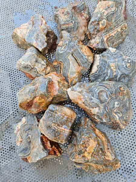 Wyloo Agate rough . WAR116