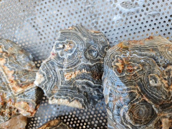 Wyloo Agate rough . WAR116