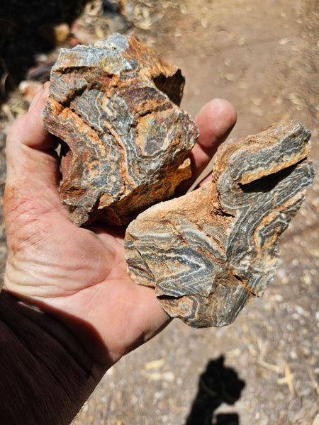 Wyloo Agate rough . WAR114