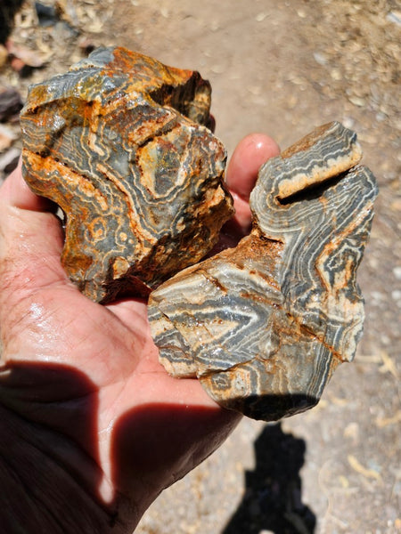 Wyloo Agate rough . WAR114