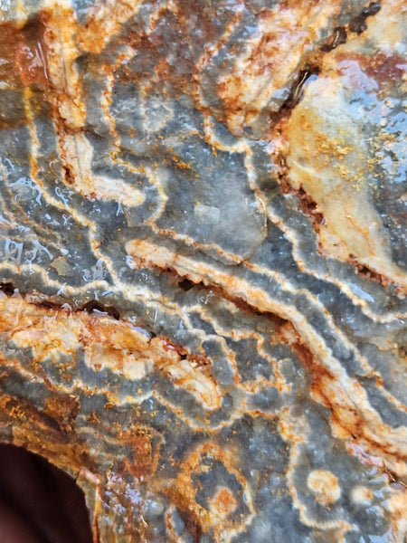 Wyloo Agate rough . WAR114