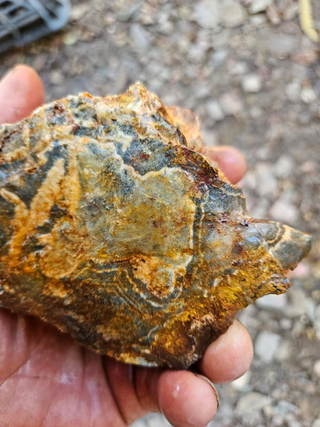 Wyloo Agate rough . WAR114