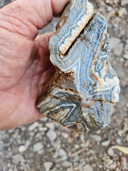 Wyloo Agate rough . WAR114