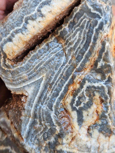 Wyloo Agate rough . WAR114