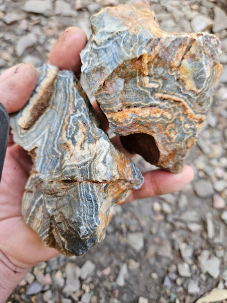 Wyloo Agate rough . WAR114