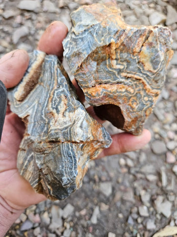 Wyloo Agate rough . WAR114