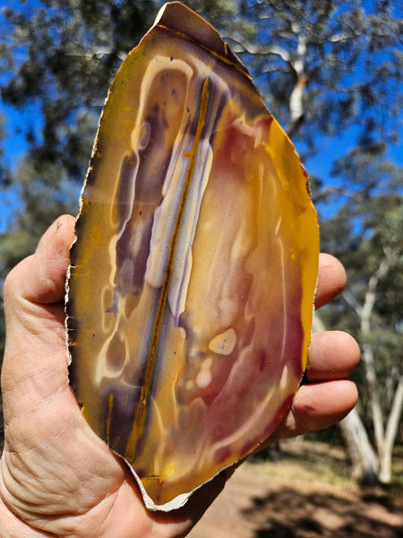 Polished  Mookaite slab MK567