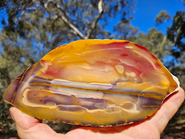 Polished  Mookaite slab MK567