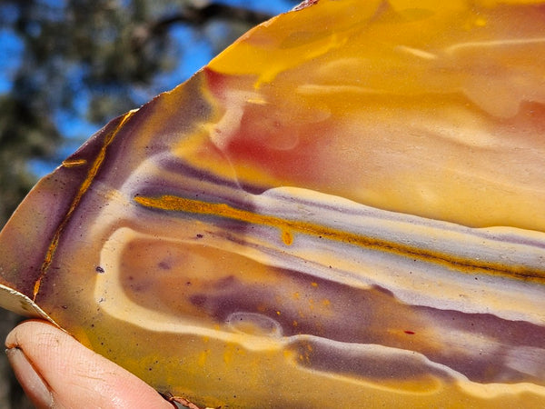 Polished  Mookaite slab MK567