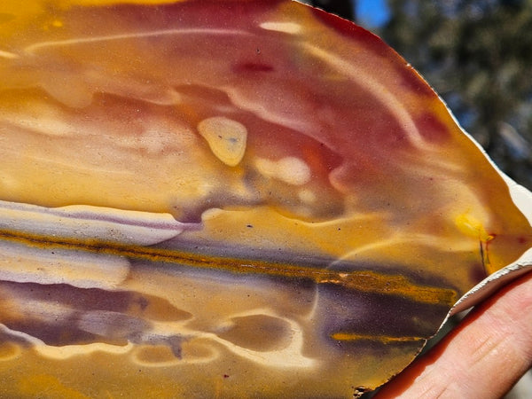 Polished  Mookaite slab MK567