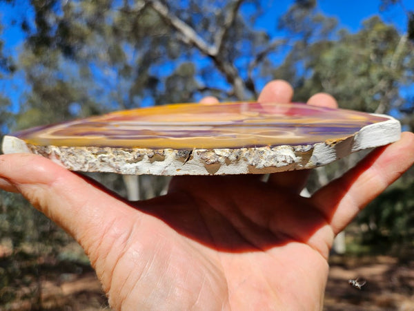 Polished  Mookaite slab MK567