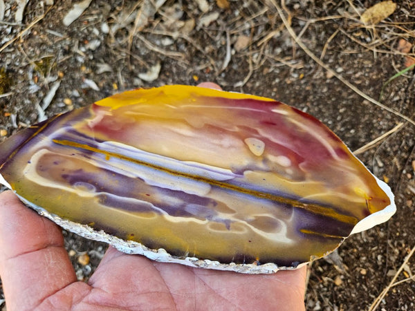 Polished  Mookaite slab MK567