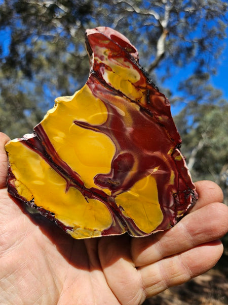 Polished  Mookaite slab MK568
