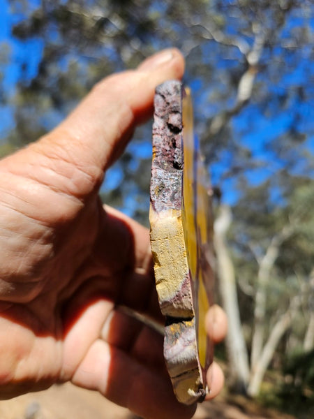 Polished  Mookaite slab MK568