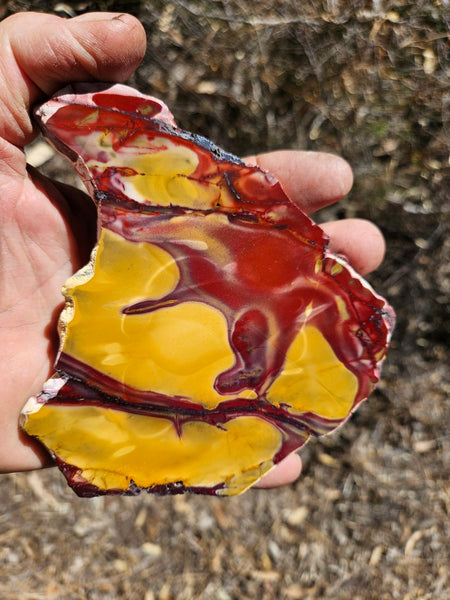 Polished  Mookaite slab MK568