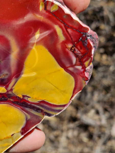 Polished  Mookaite slab MK568