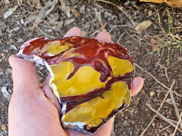 Polished  Mookaite slab MK568