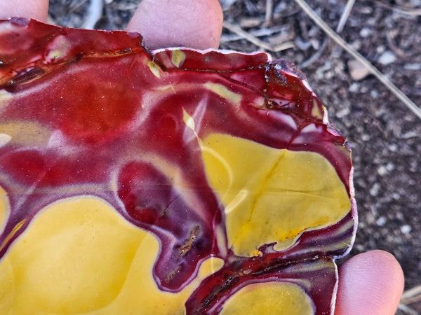Polished  Mookaite slab MK568