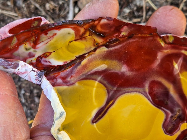 Polished  Mookaite slab MK568