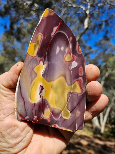 Polished  Mookaite slab MK569