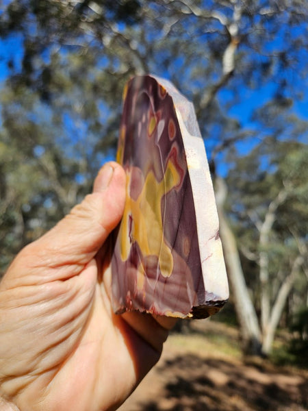 Polished  Mookaite slab MK569
